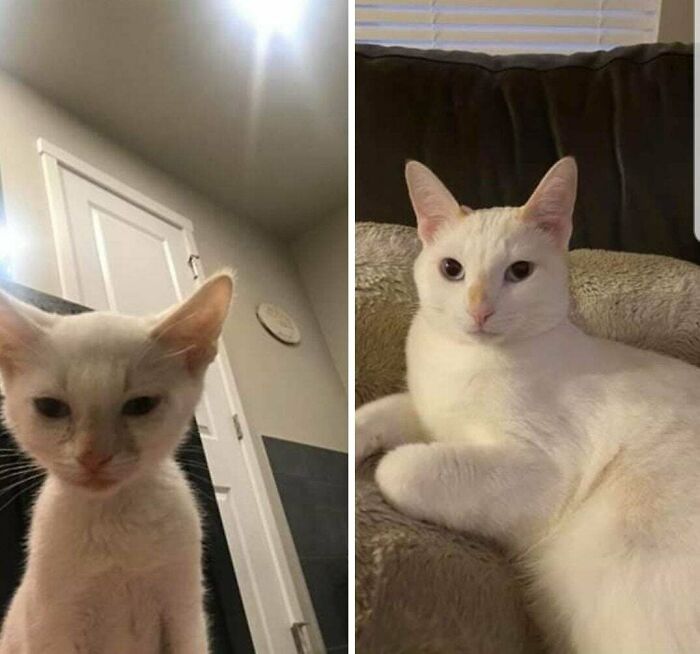 My Coworker's Rescue After 6 Months