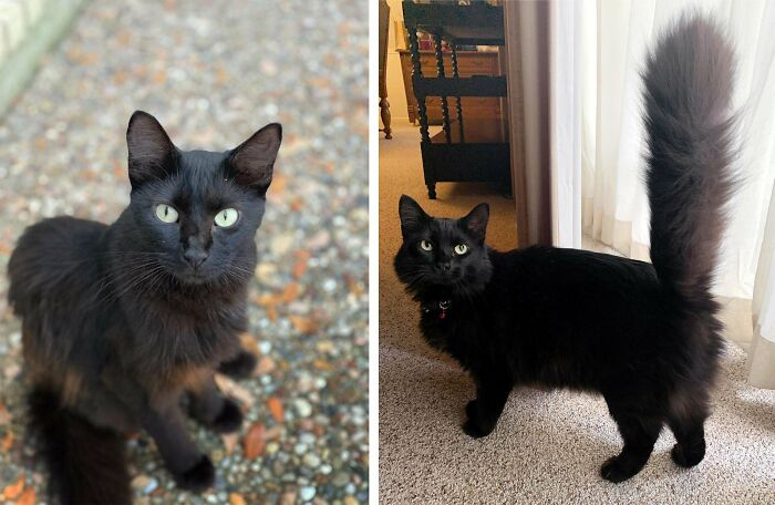 The Difference 6 Months Can Make