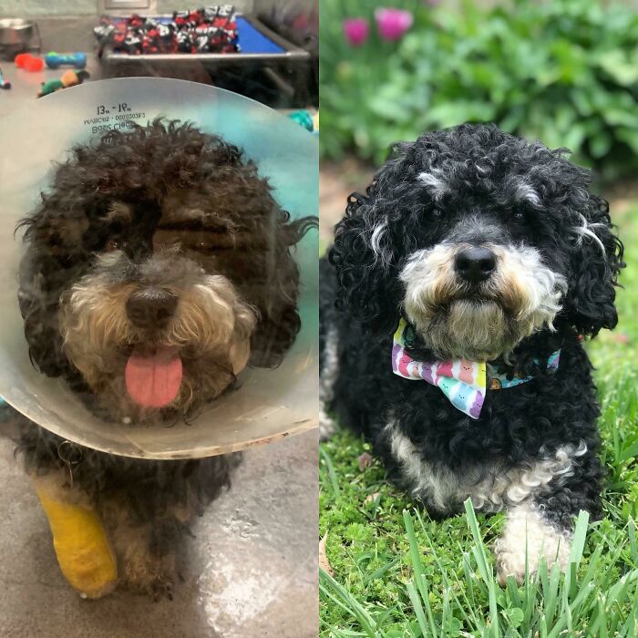 Lost A Leg, Gained A Family!