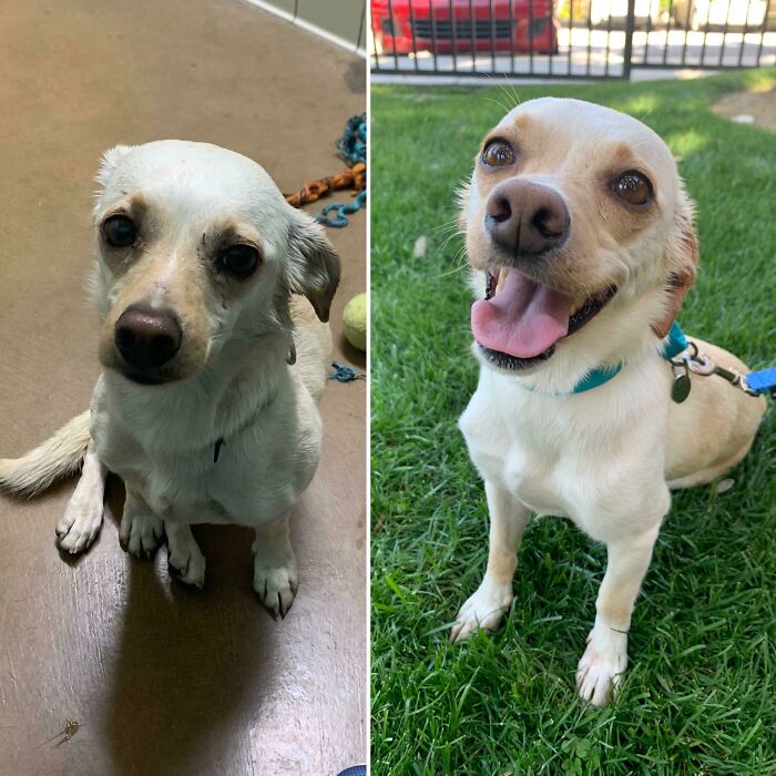 Phoebe The Day We Met Her And Now!