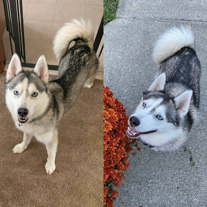 Glow Up Of My Precious Girl!