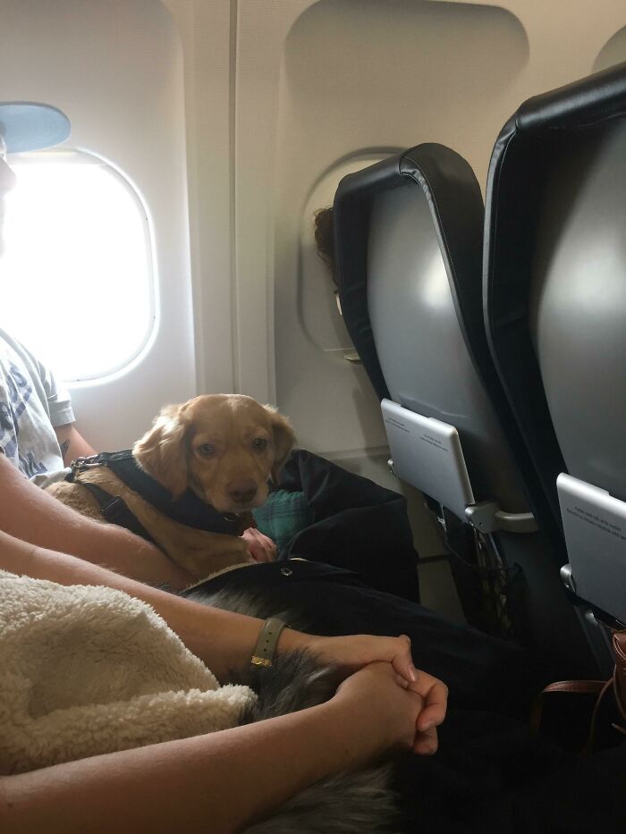 This Guy On The Plane Won’t Stop Staring At Me