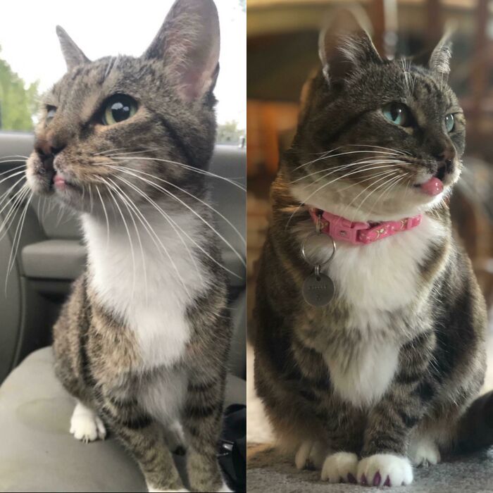 A Year Ago (Left) Versus Now (Right) - The Difference A Year Of Love Makes!