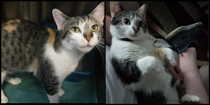 We've Had Chili For 2 Years, Looking Forward To Many More!