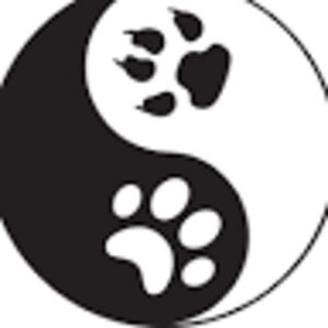 latorriaphillips avatar