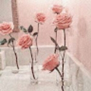 ameliahedstrom avatar