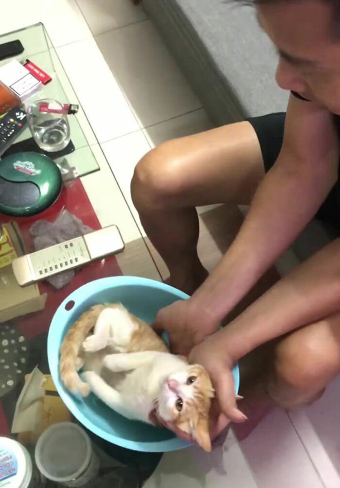 This Grandpa-To-Be Shows His Son How To Bathe A Baby By Using A Cat As An Example This Grandpa-To-Be Shows His Son How To Bathe A Baby By Using A Cat As An Example