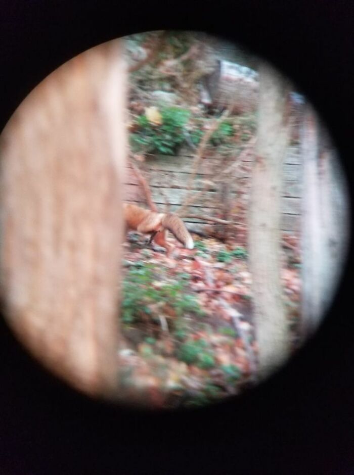 This Is How We Do It In The Big Leagues Of Crap Photography.