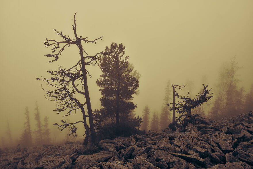 I Want To Show You The Essential Beauty Of The Ukrainian Carpathians With My Photos, Music And Videos.