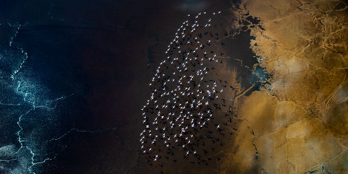 Epson-International-Pano-Awards-Winners-2020