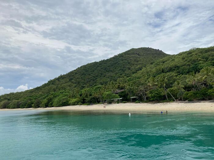 Sea Turtle Named Lou Learns To Swim Again After Losing Two Flippers In Fishing Nets
