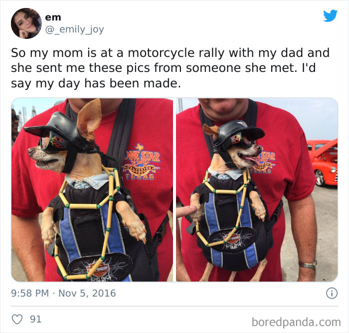 This Dad Who Took The Family Dog To A Motorcycle Event