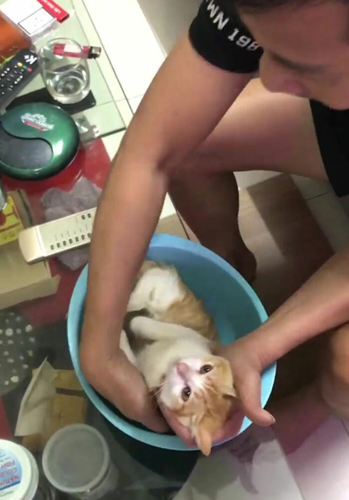 This Grandpa-To-Be Shows His Son How To Bathe A Baby By Using A Cat As An Example This Grandpa-To-Be Shows His Son How To Bathe A Baby By Using A Cat As An Example