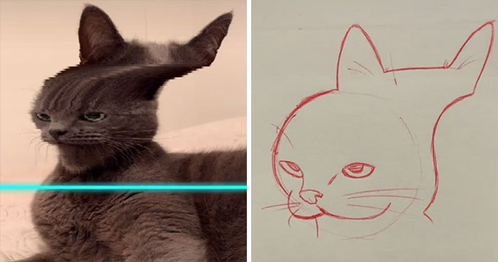 Time-Warp-Scan-Dogs-Cats-Drawing