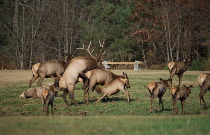 My Sister Does Not Wish To Share This Gem Herself. But She Made This Mistake Of Sharing It With Me For My Own Free Use!