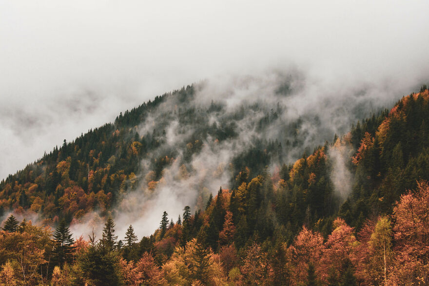 I Want To Show You The Essential Beauty Of The Ukrainian Carpathians With My Photos, Music And Videos.