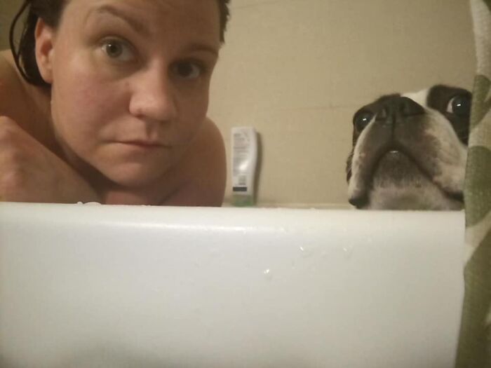 Didnt-Want-A-Dog-Challenge