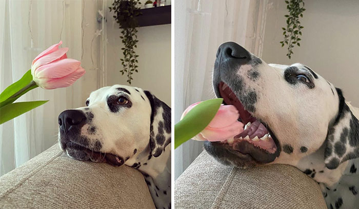 Funny-Instagram-vs.-Reality-Pics