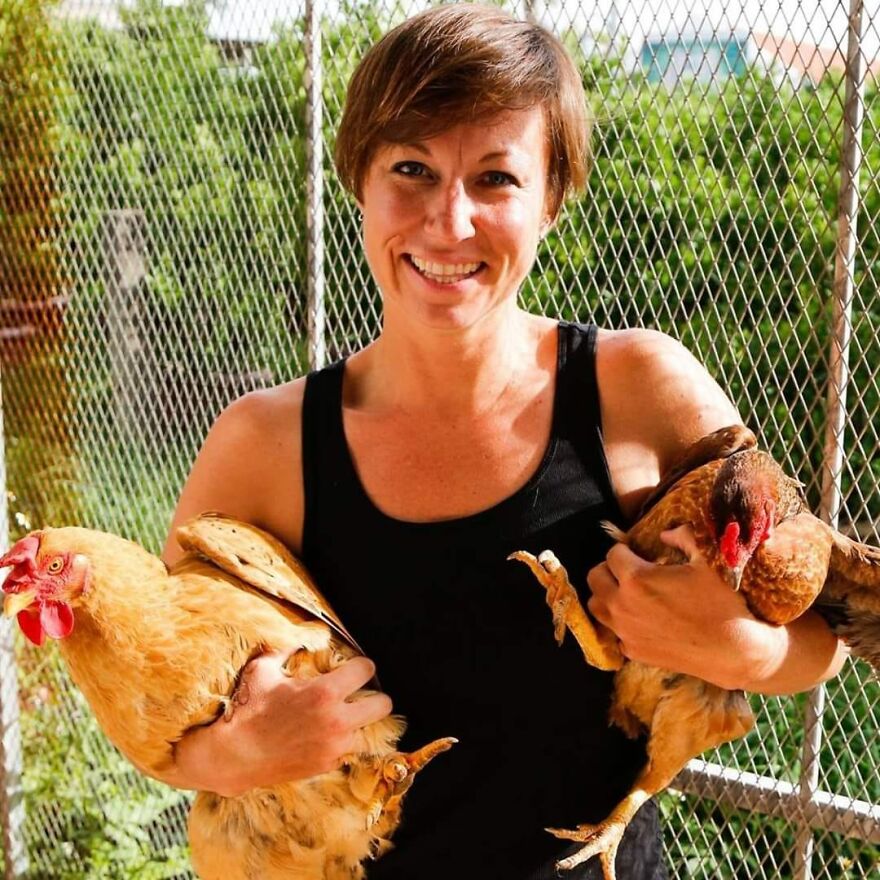 Vietnam's First Farm Sanctuary And Animal Rescue Helps All Kinds Of Animals Who Are Suffering From Cruelty And Neglect Vietnam's First Farm Sanctuary And Animal Rescue Helps All Kinds Of Animals Who Are Suffering From Cruelty And Neglect