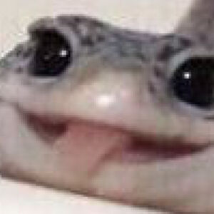 braxtonnorman avatar