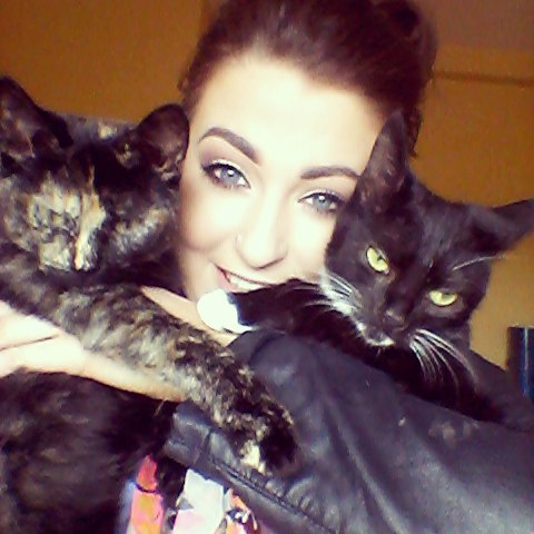 Owner Put A Tracker On Her Cat And Discovered She Has Been Visiting 5 Houses Owner Put A Tracker On Her Cat And Discovered She Has Been Visiting 5 Houses