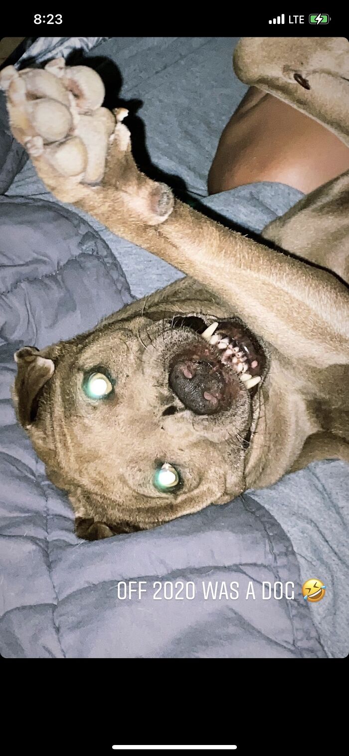 For Real... Not Her Best Angle 🤣🤣🥴