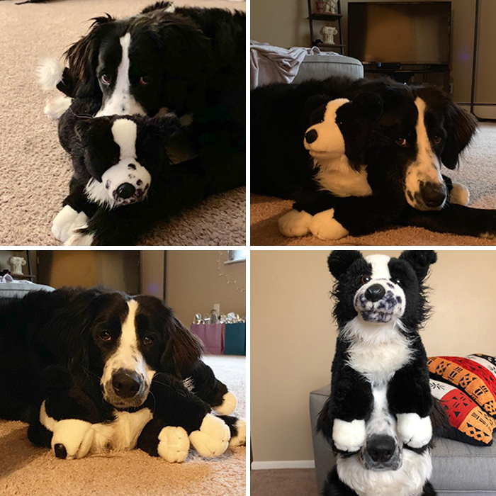 My Dog’s Favorite Toy Is Herself