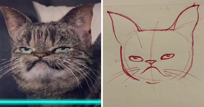 Time-Warp-Scan-Dogs-Cats-Drawing