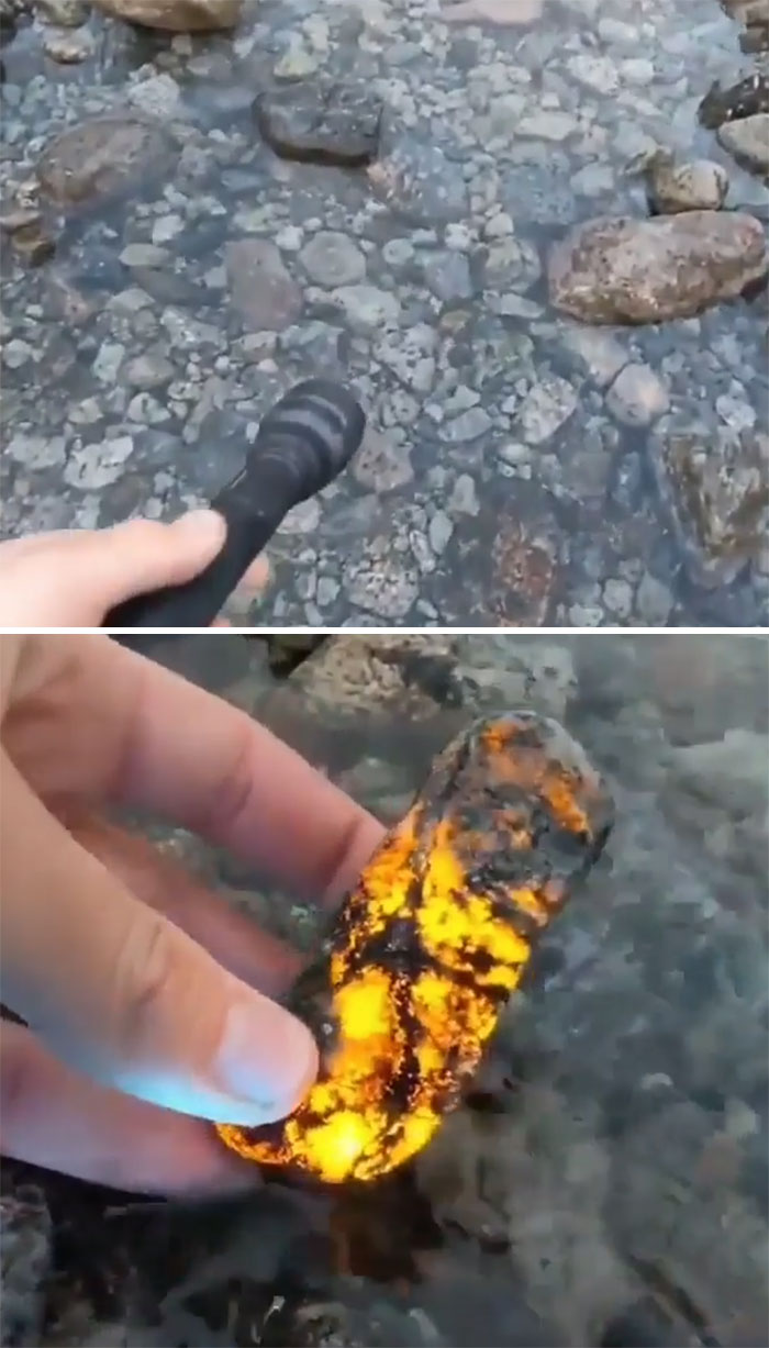 Sodalite Is A Type Of Rock That Reacts With UV Light. When Exposed To It, The Rock Turns To A Golden, Lava-Like Color