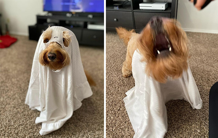 Funny-Instagram-vs.-Reality-Pics