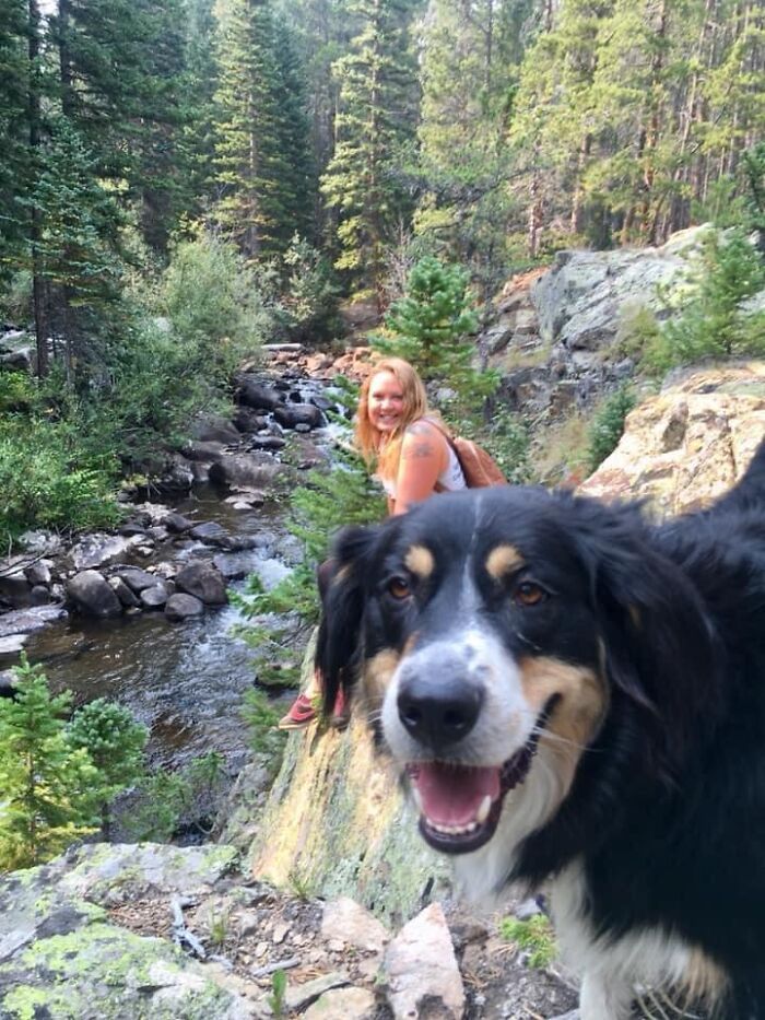 Didnt-Want-A-Dog-Challenge