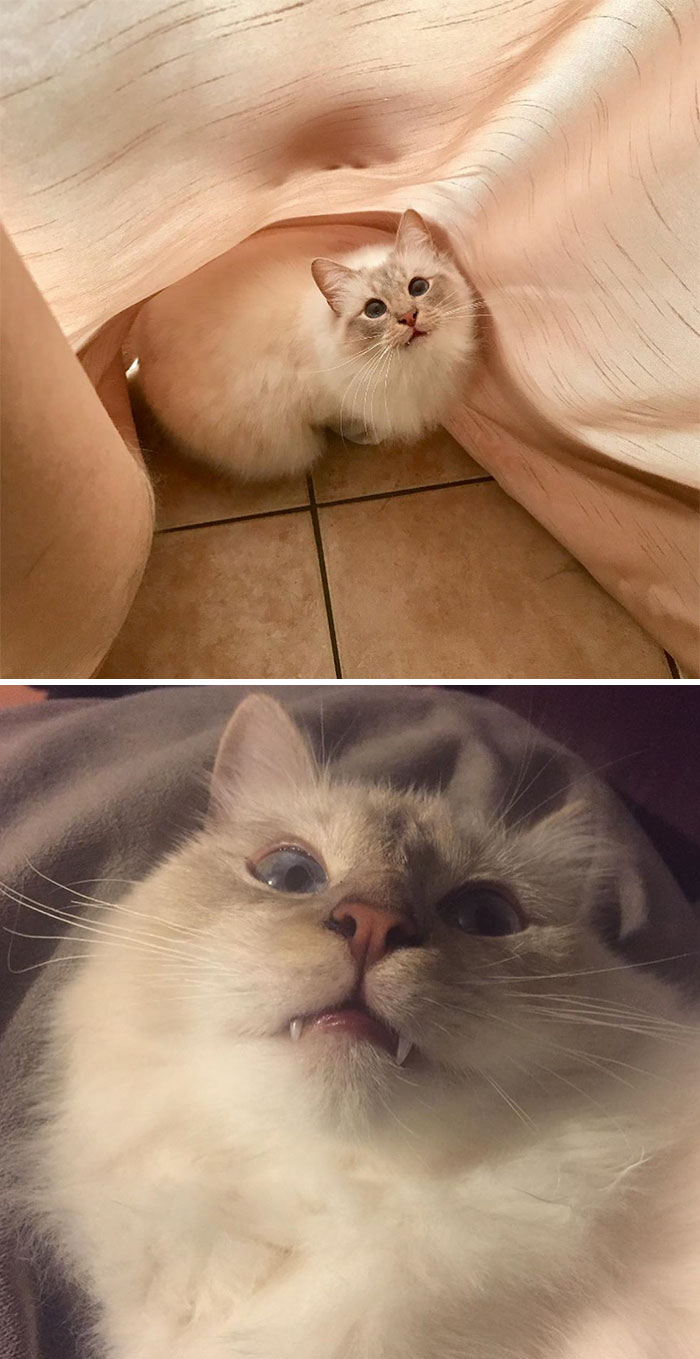 Funny-Instagram-vs.-Reality-Pics