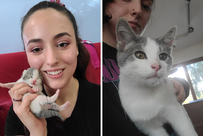 Before-After-Pet-Challenge