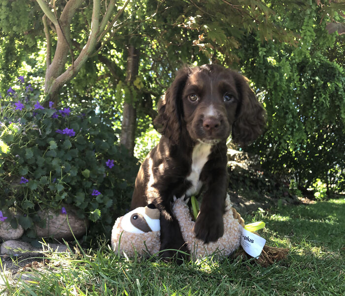 ‘This Is My Toy, You Can’t Have It’