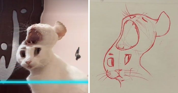 Time-Warp-Scan-Dogs-Cats-Drawing