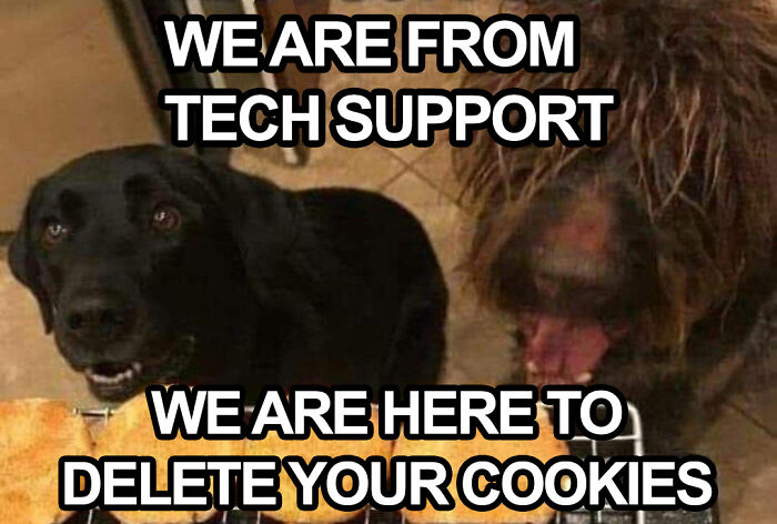 Two dogs humorously dressed as tech support, ready to "delete your cookies," emanating funny dog meme vibes.