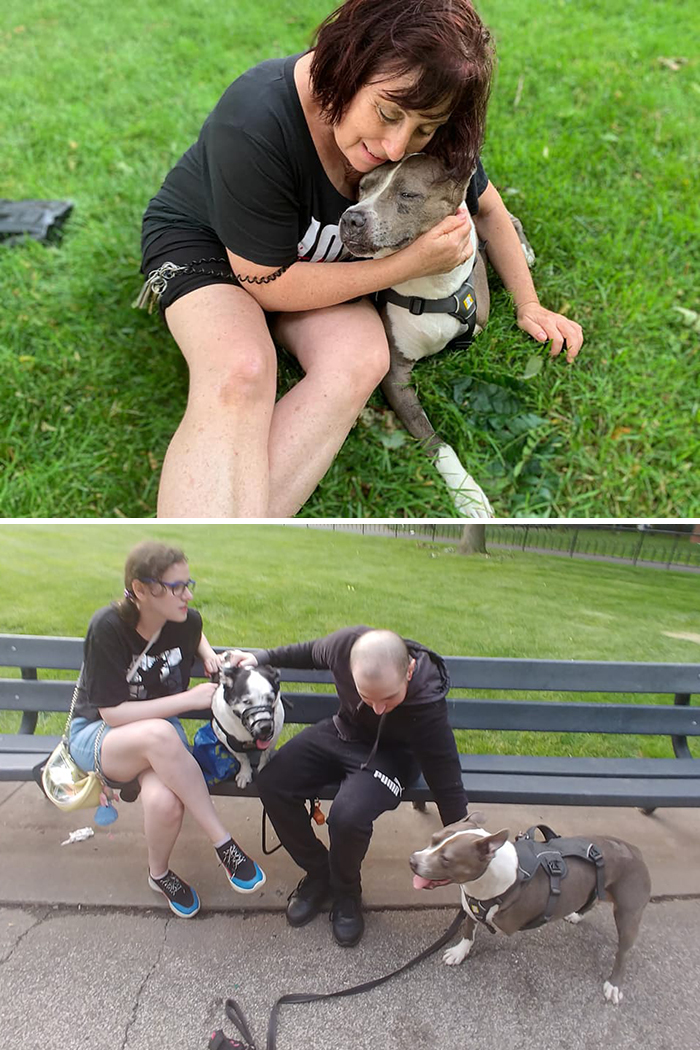 Didnt-Want-A-Dog-Challenge