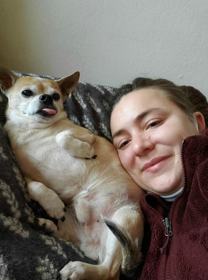 Didnt-Want-A-Dog-Challenge