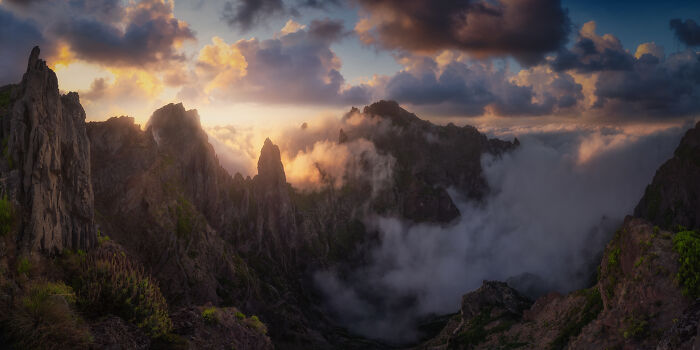 Epson-International-Pano-Awards-Winners-2020