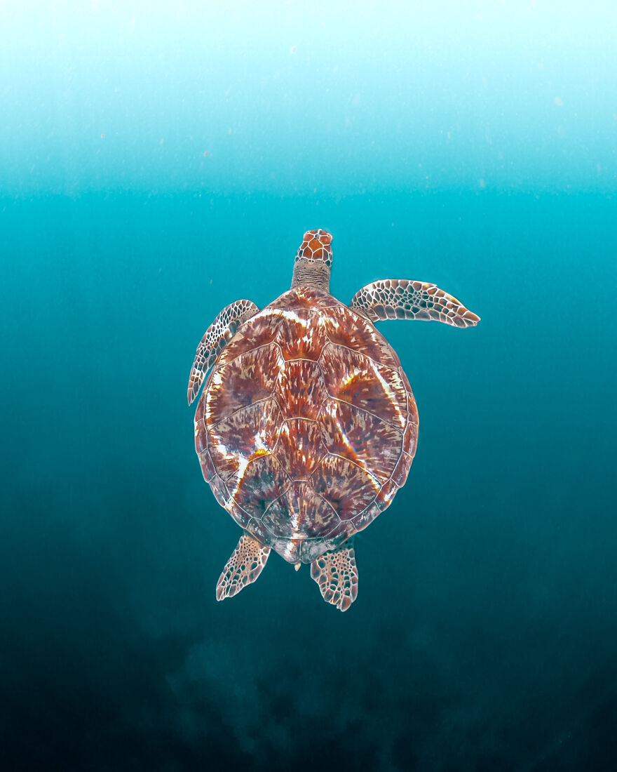 All The Shades Of Blue