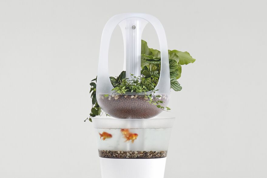 Eva Hydroponic Device