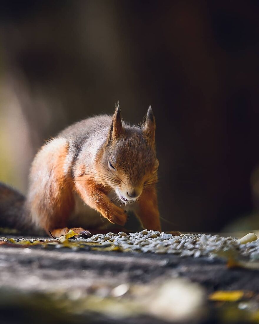 That Feeling When You Realize It's Monday Again