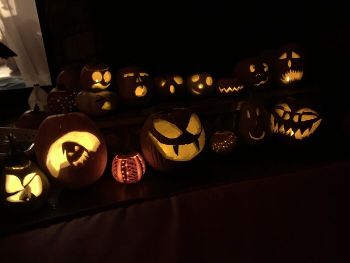 Dr. Root And The Jack-O-Lanterns, My Favorite Local Fruit Band