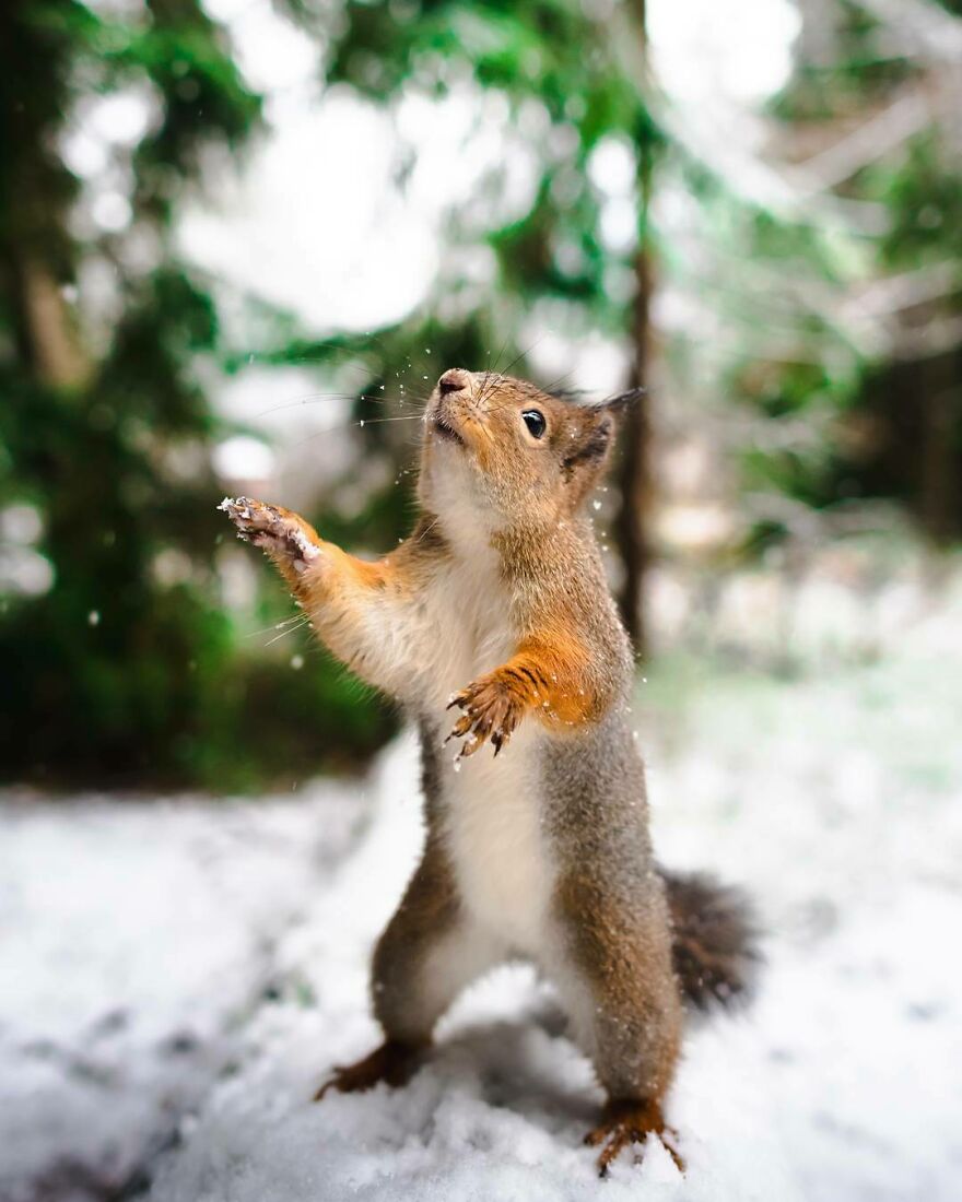 "Look Everyone! It's Finally Snowing!"