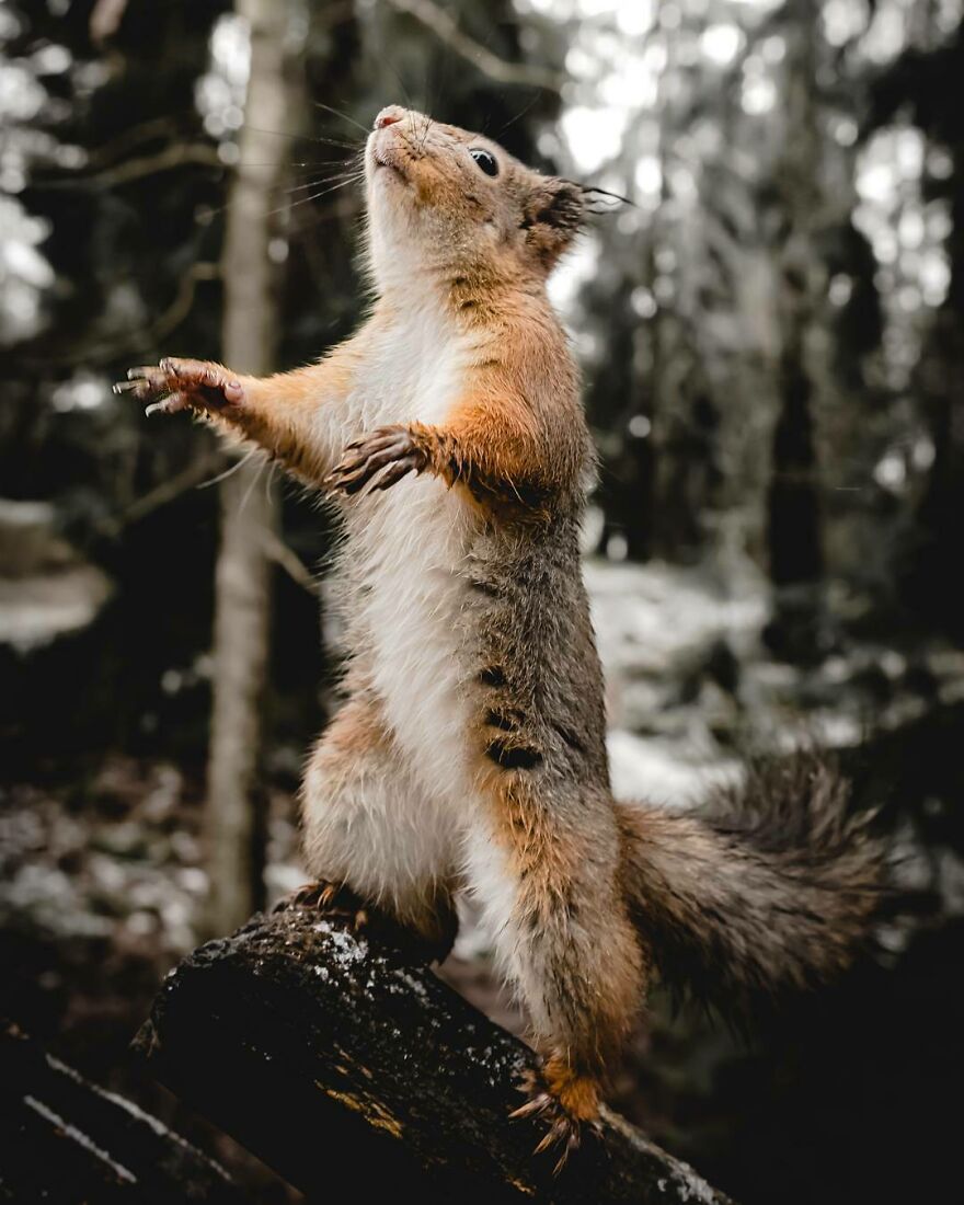 "Cause This Is Thriller, Thriller Night"