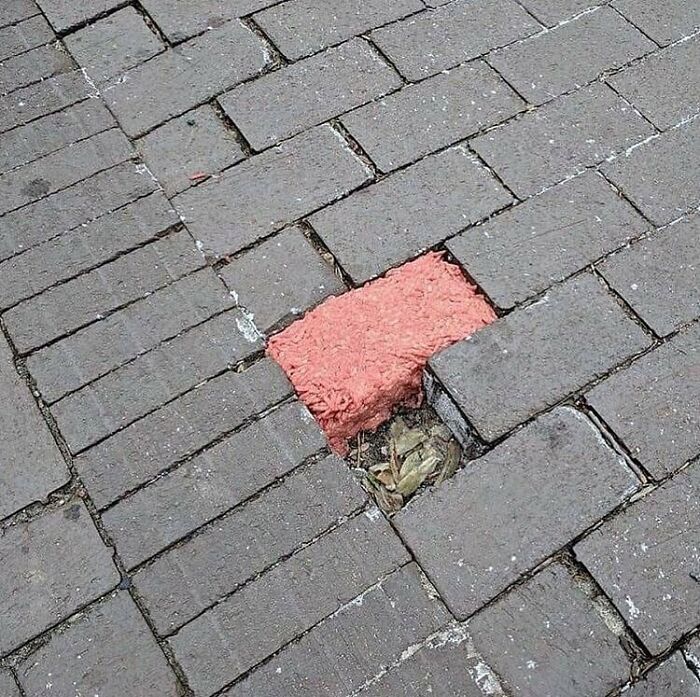 When The Food Is The Ground