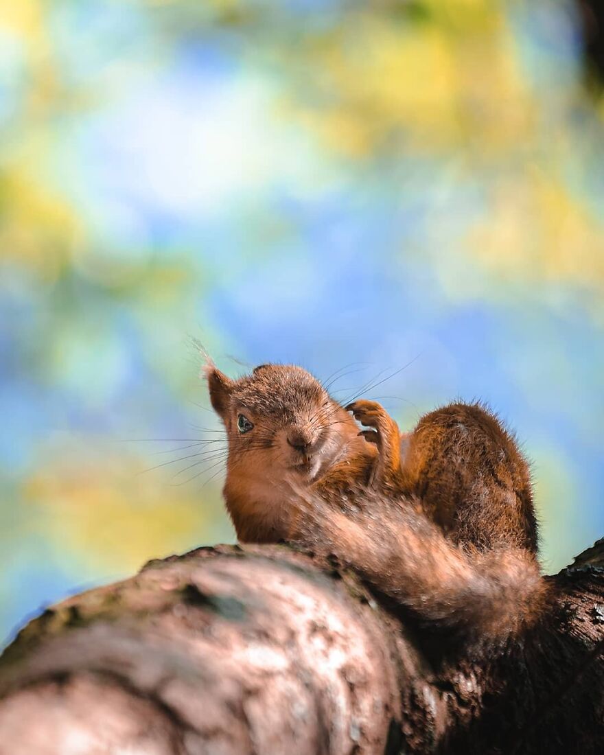 Waking Up On A Monday Like