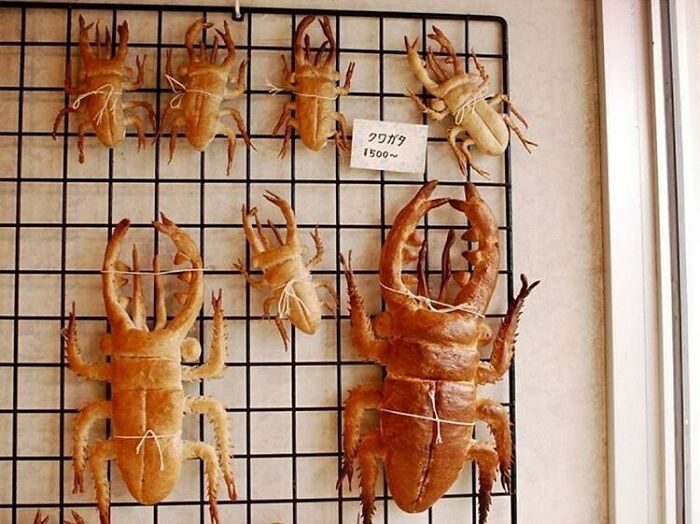 Beetle Bread