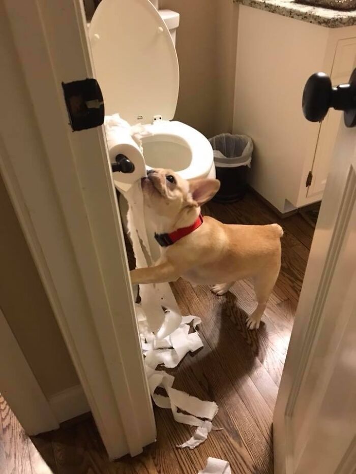 This Isn’t Cute During A Pandemic