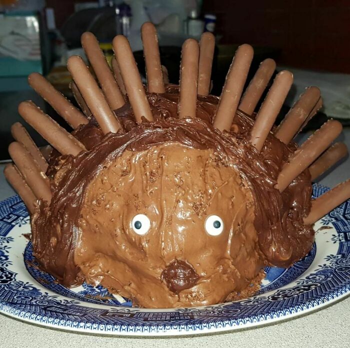 Hedgehog-Cake-Fails
